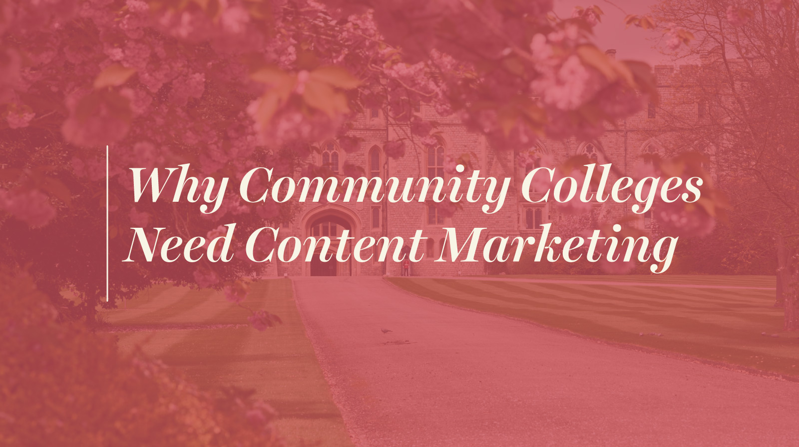 community colleges need content marketing